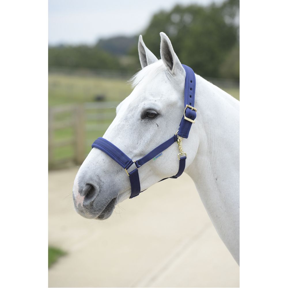 Bucas Comfort Halter Pony Navy/Navy