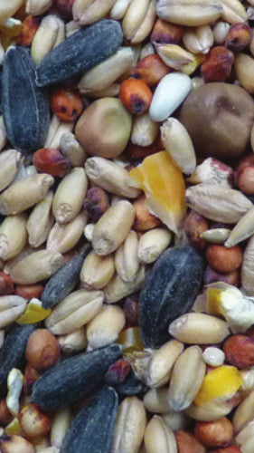 Auntie Kate's All Grain (12%) 20kg