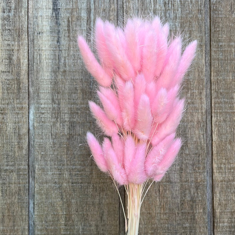 Bunny Tail – Light Pink PRESERVED