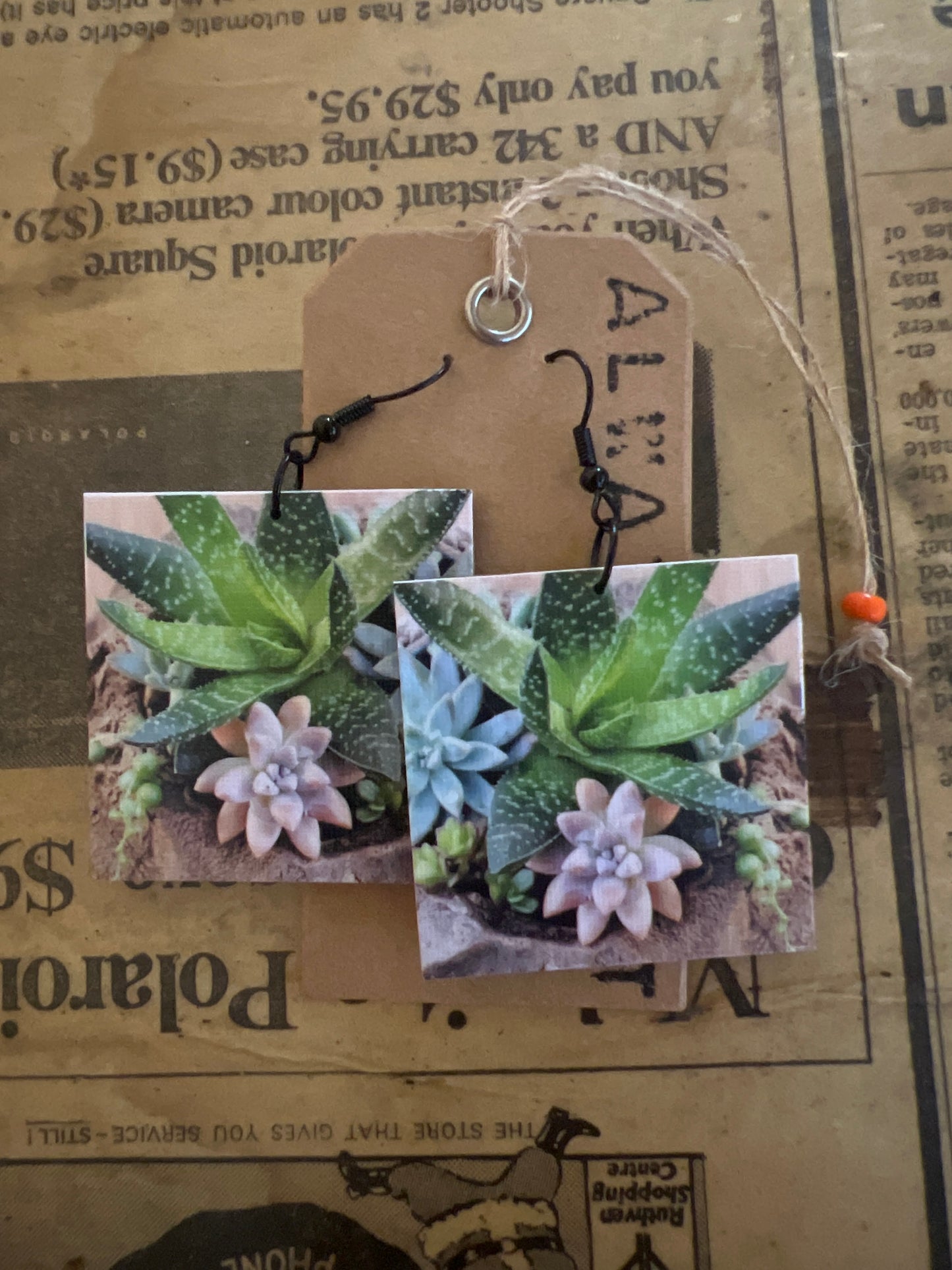 Succulents - close Earrings (4x4cm)