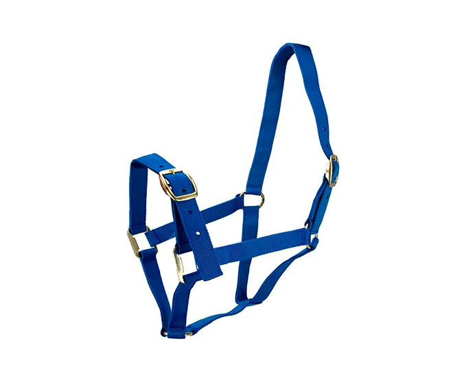 Horse Halter