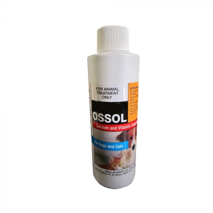 Ossol Calcium & Vitamin 250ml (Inca)