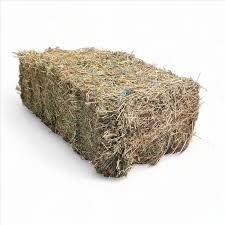 Lucerne Hay - Small Square