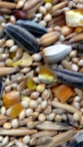 Small Parrot Mix 20kg