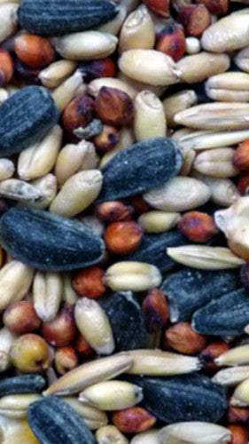 Wild Bird Mix 20kg