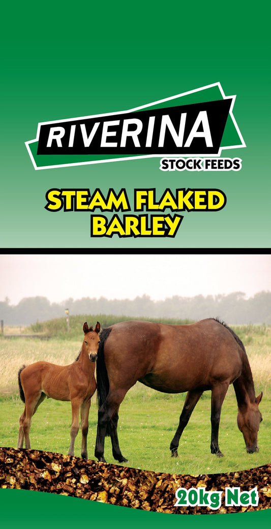 Steam Flaked Barley (Molasses) 20kg