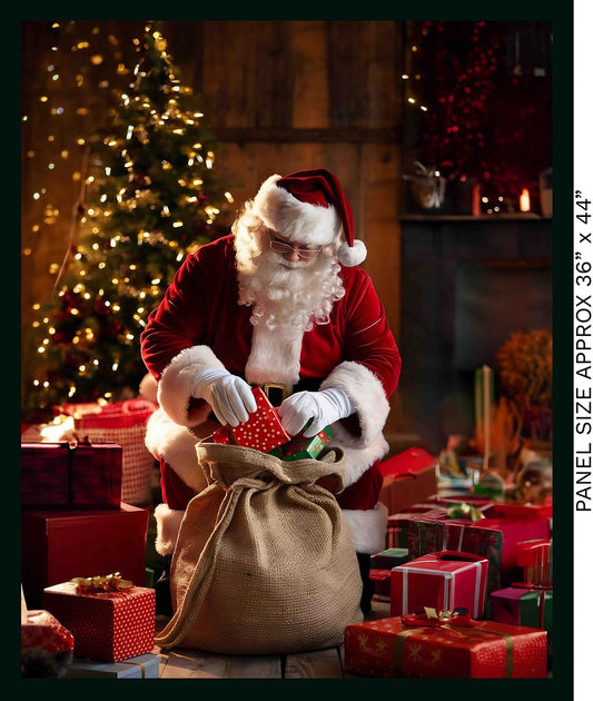 Santa Panel Santa in Oz 36inch Panel