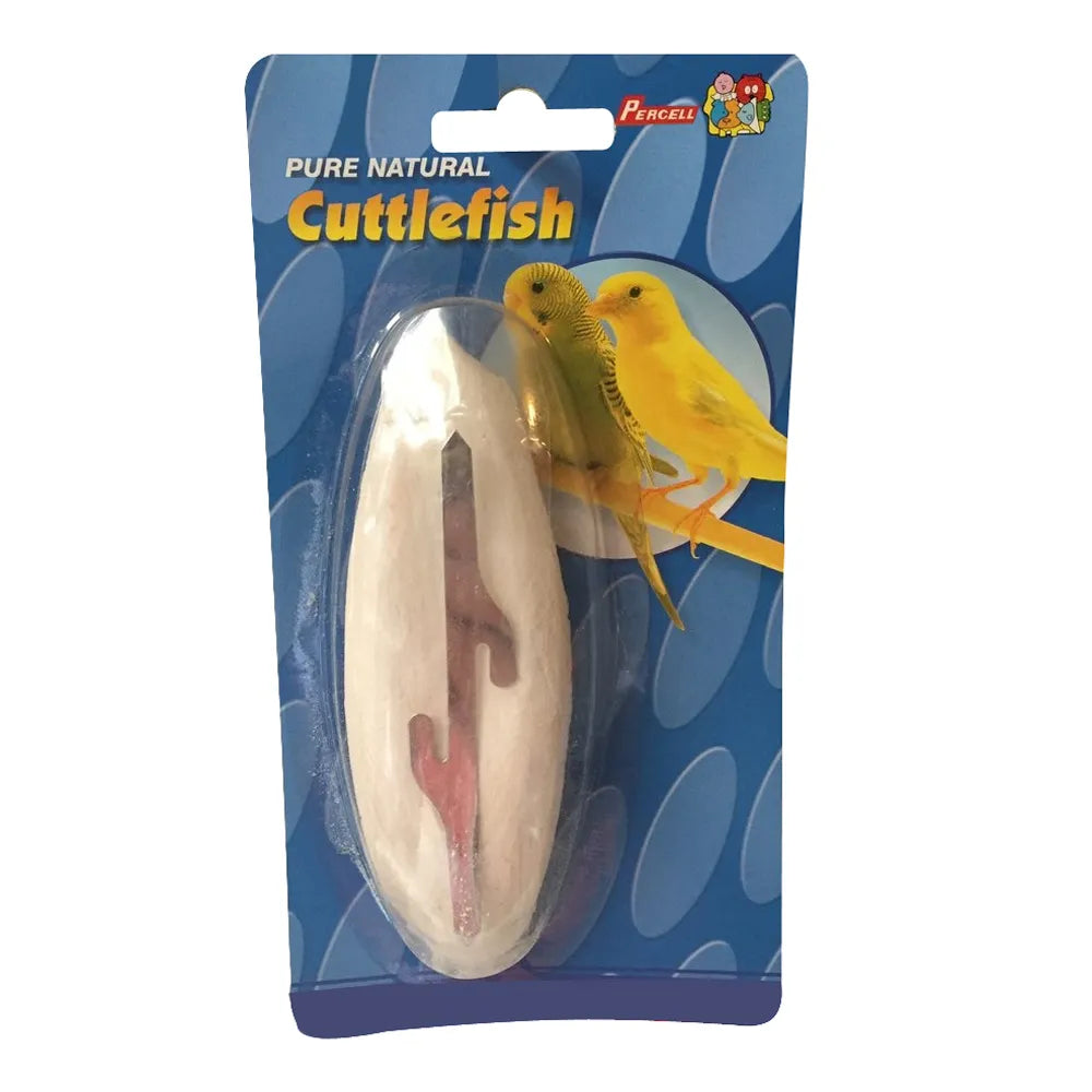 Percell Cuttle Fish - 20cm single