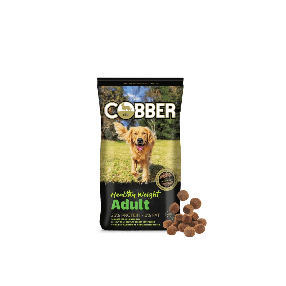 Cobber Healthy Weight Adult 20kg