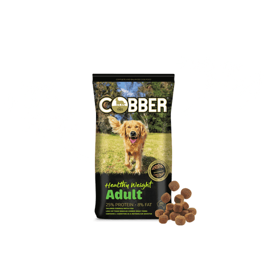 Cobber Healthy Weight Adult 20kg