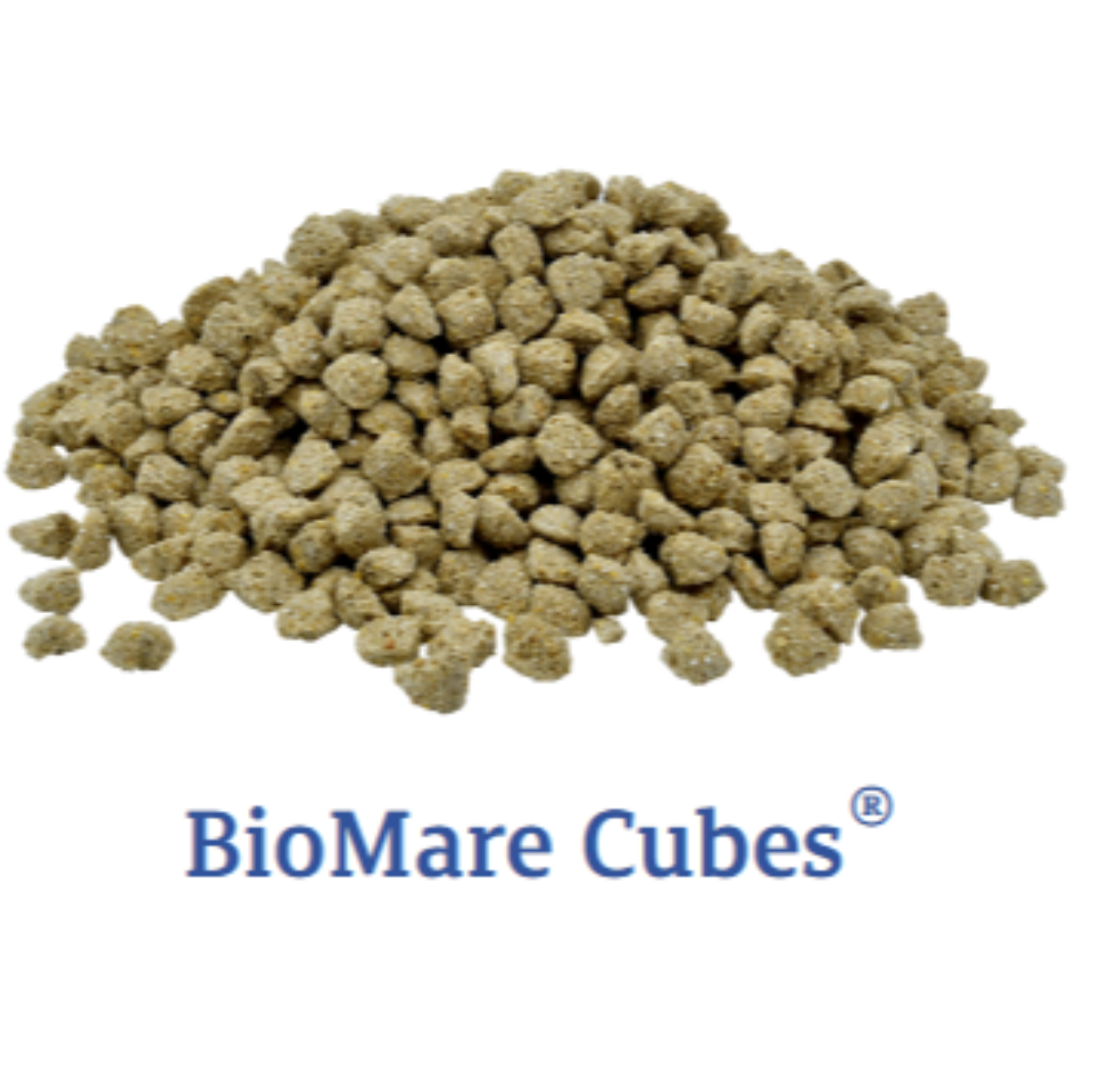 BioMare Cubes on a white background