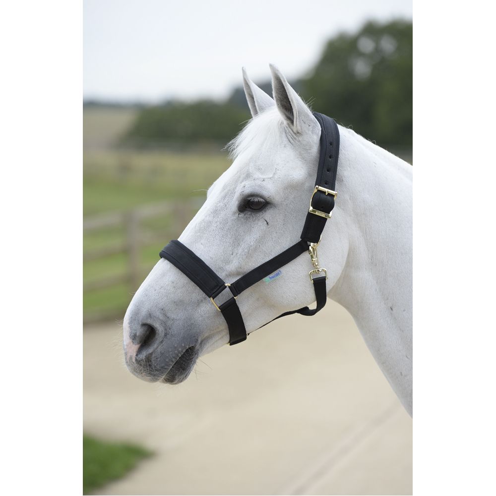 Bucas Comfort Halter Cob Navy/Navy