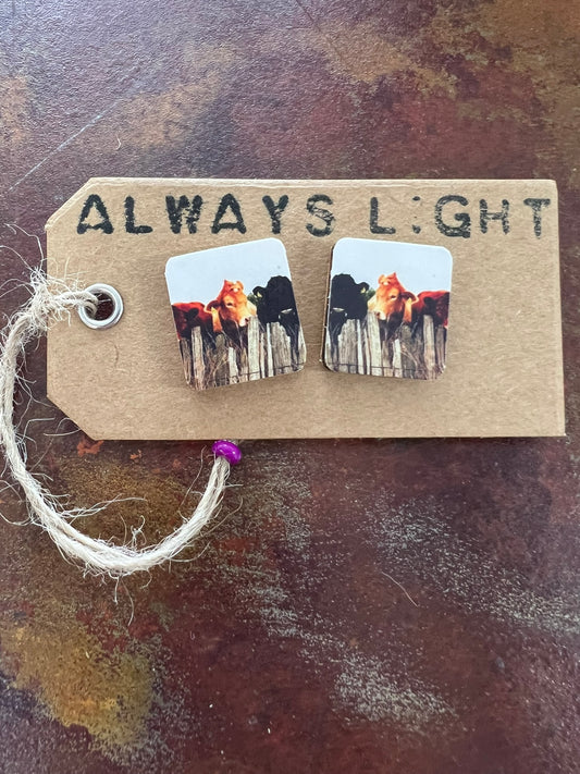 Cattle at Fence Earrings