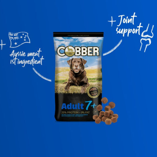 Cobber dog food package with a blue background
