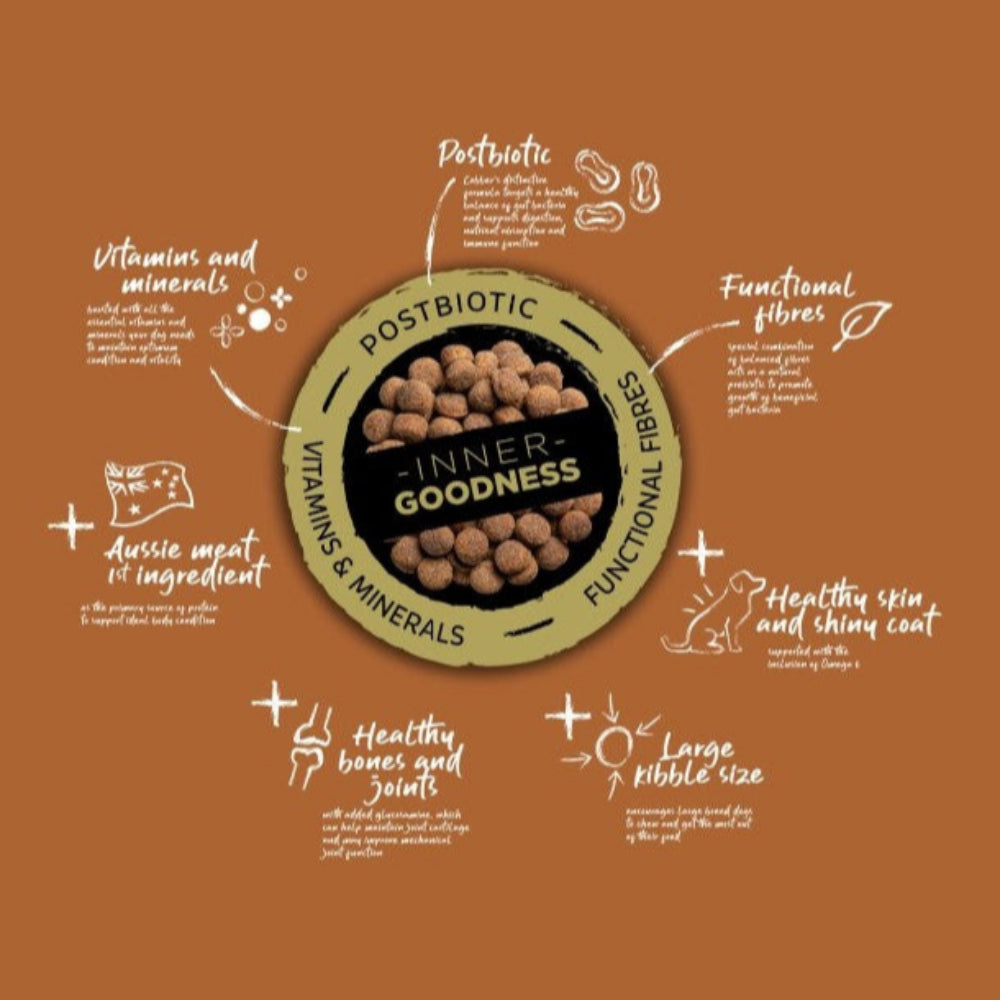 cobber large breed with text highlighting benefits on a brown background