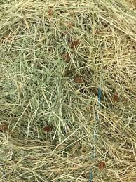 Grassy Lucerne Chaff