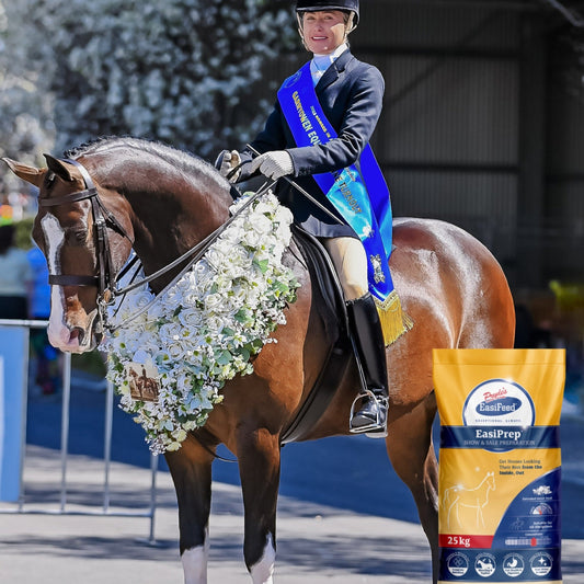 Horse rider on a decorated horse with a package of EastPrep in the foreground, featuring text 'Choose Exceptional. Always.' EasiPrep