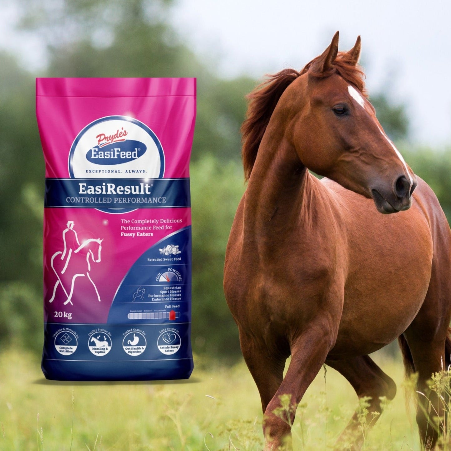 Horse standing in a field with a bag of EasilResult horse feed in the foreground
