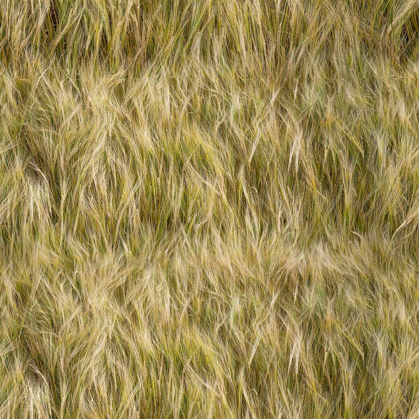 Farmers Paradise - Barley - Fat Quarter