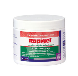 Rapigel Jar 250gm