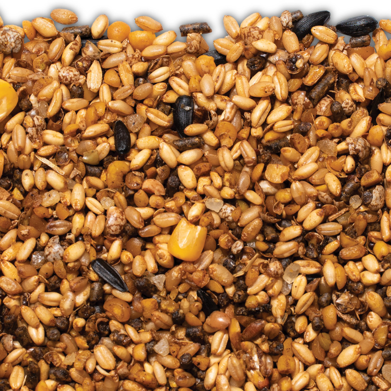 Red Hen Free Range Layer 20kg