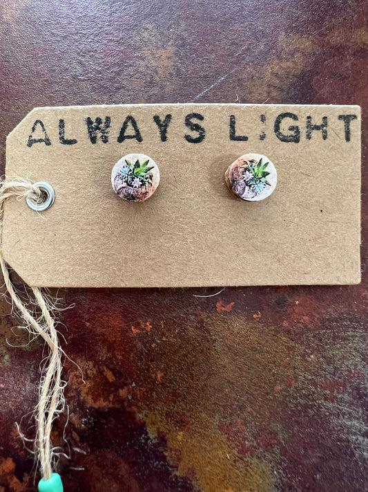 Succulent Pot Stud Earrings