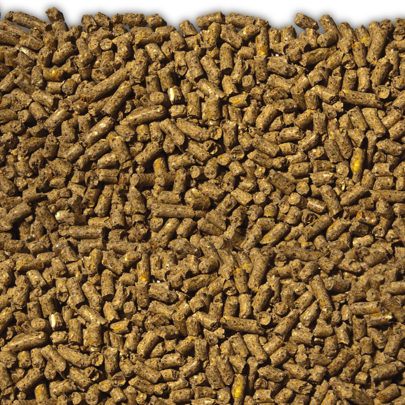 Xtra Egg Se17enteen 20kg