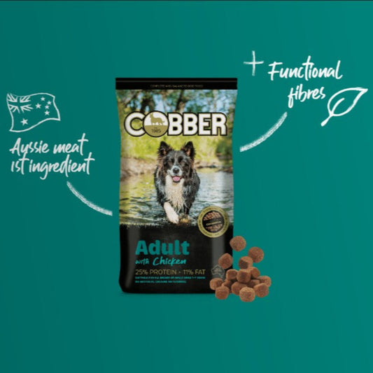 Cobber dog food package with a teal background