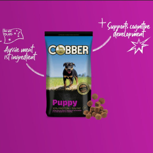 Cobber Puppy dog food package on a purple background with text about ingredients and cognitive development.