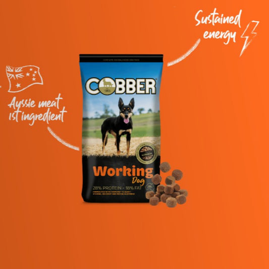 Cobber dog food package on an orange background with text about Australian meat ingredients.