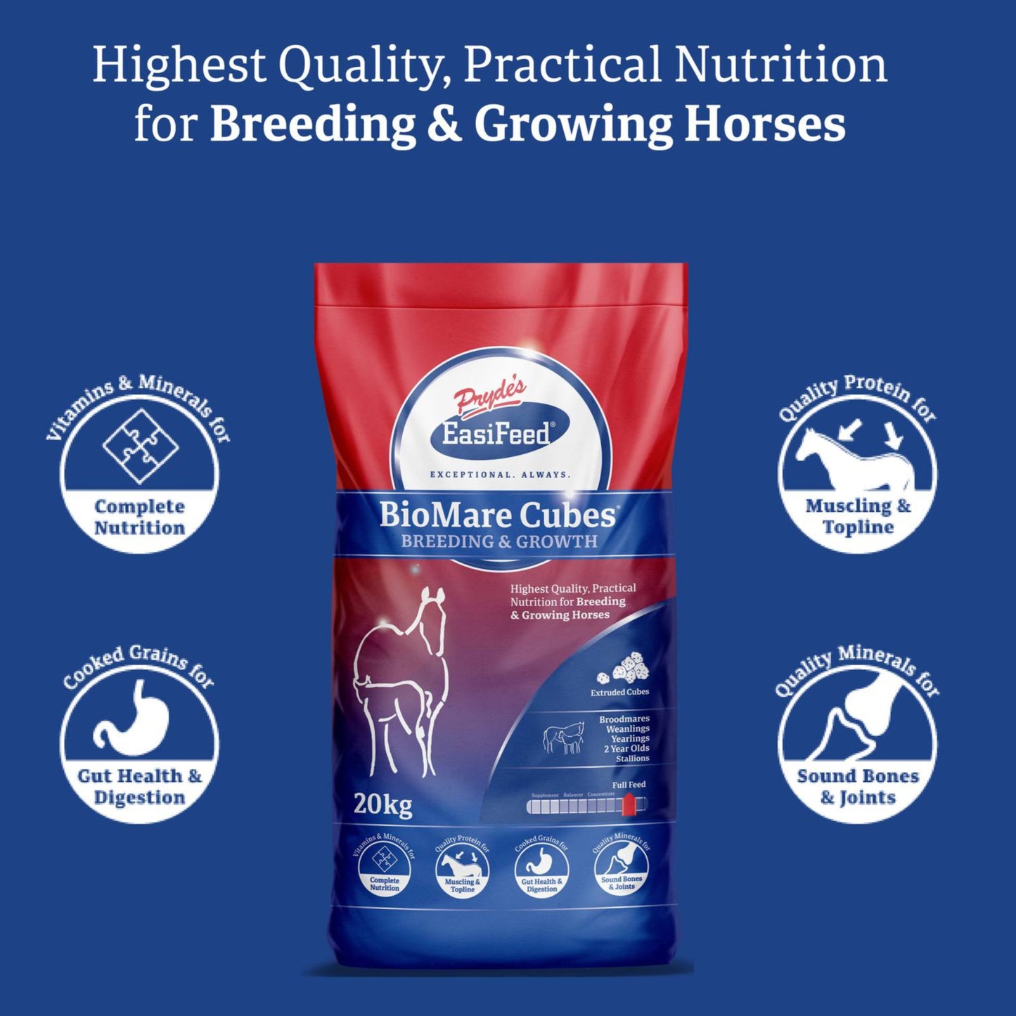 Package of BioMare Cubes for breeding and growing horses on a blue background